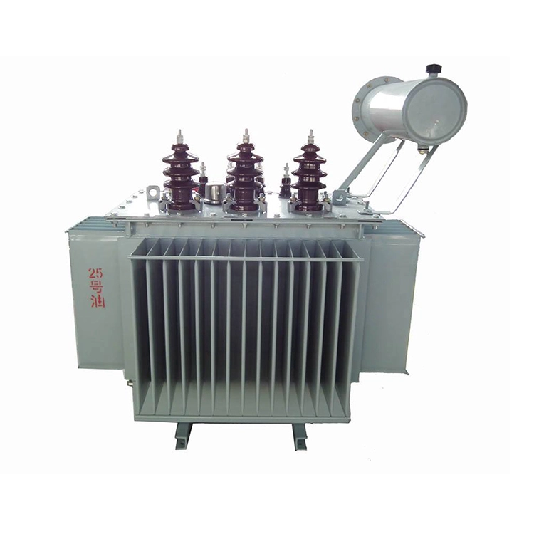 100 Kva 11 Kv तेल डुबेको ONAN ट्रान्सफर्मर 100 Kva 11 Kv तेल डुबेको ONAN ट्रान्सफर्मर
