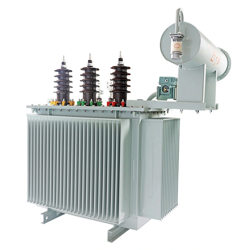 S11 3 चरण बाहिरी 35kv 1000kva पावर ट्रान्सफर्मर